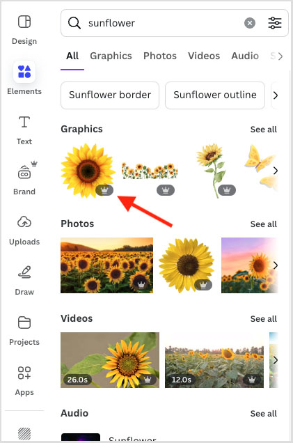 Canva stock assets in the 'Elements' panel