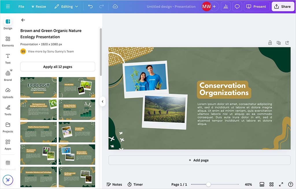 Creating a design in Canva