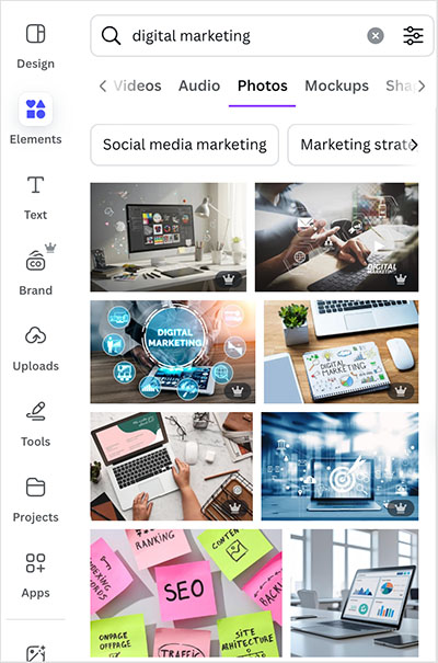 Canva stock photography examples — Canva Pro gives you access to a lot more royalty-free images than Canva Free