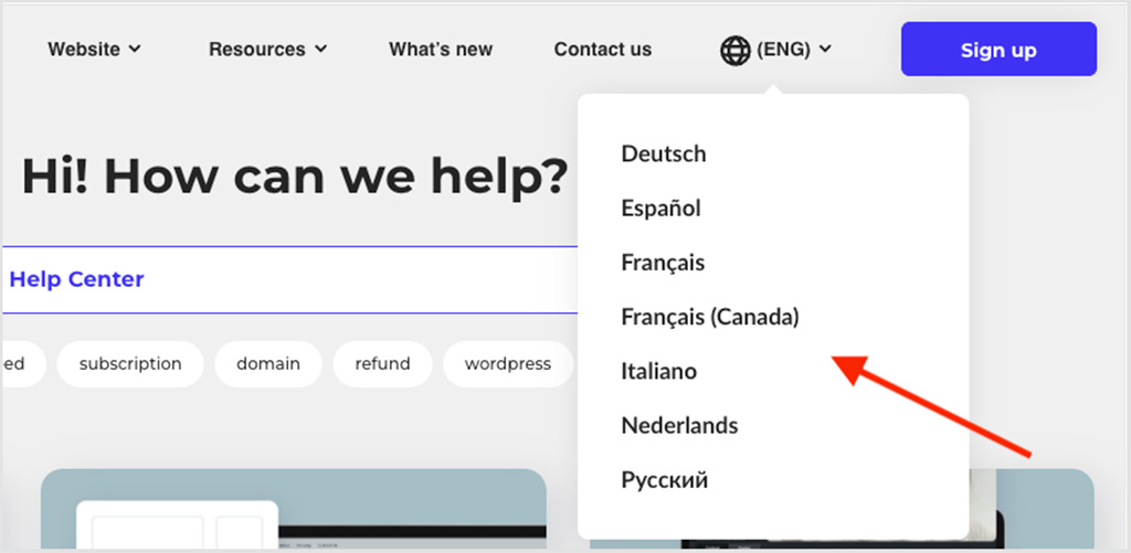 Customer support languages in Ecwid