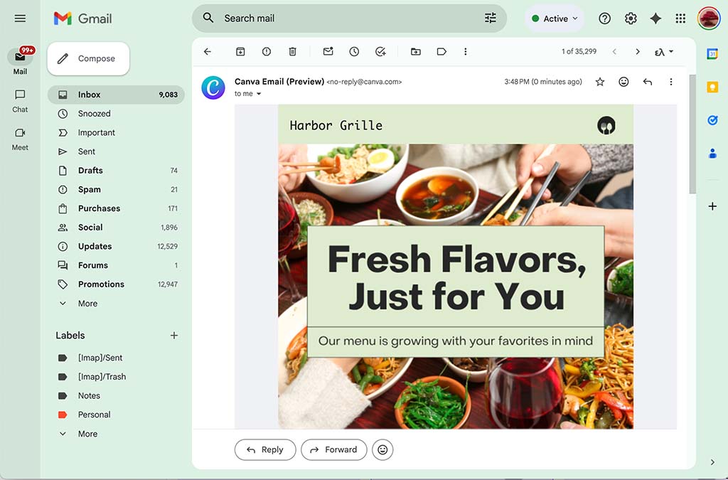 A Canva email design as it appears in a Gmail inbox