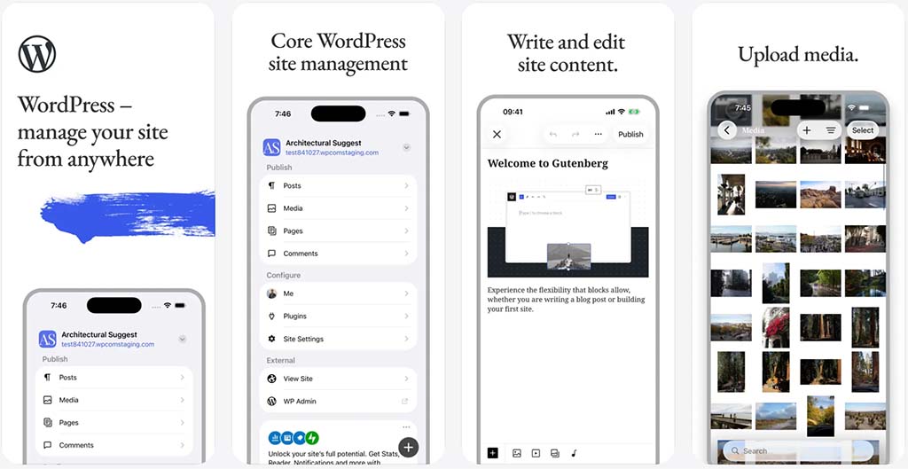 The WordPress mobile app (iOS version).