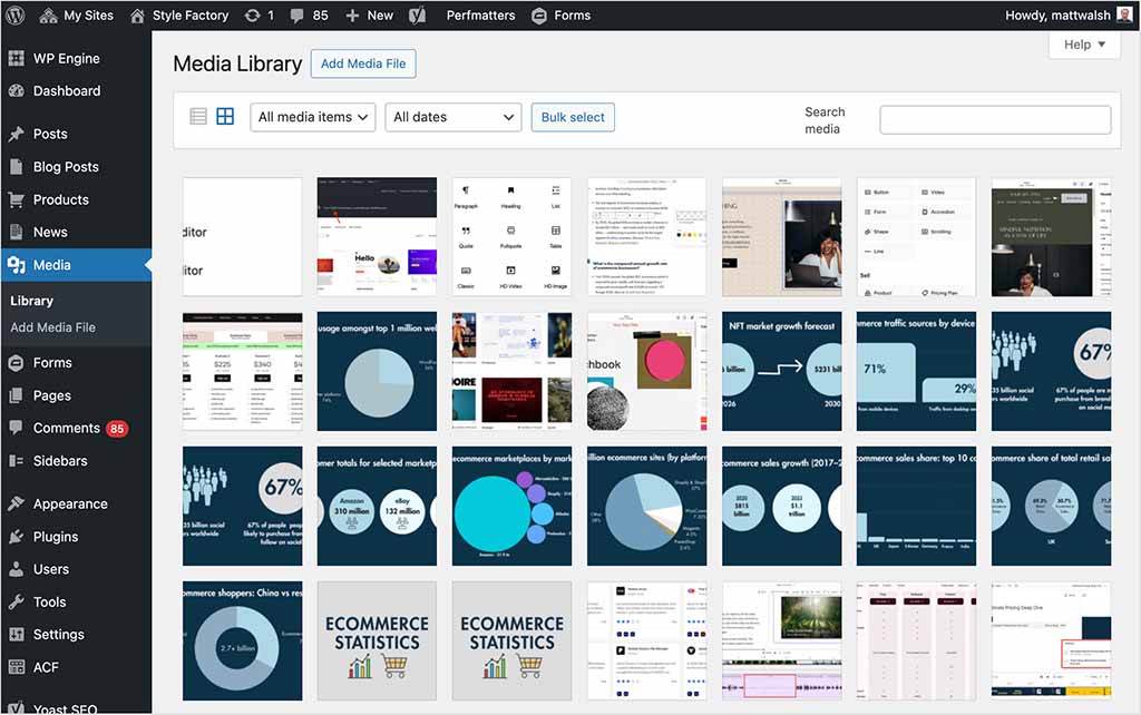 The WordPress media library.
