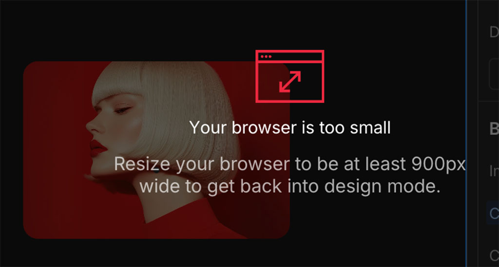 Webflow error message
